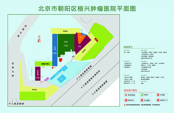 80后操B免费爽爽网站北京市朝阳区桓兴肿瘤医院平面图